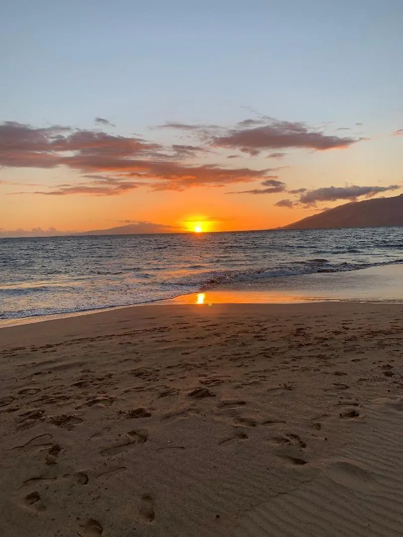 Hale Kamaole 220 Villa Wailea